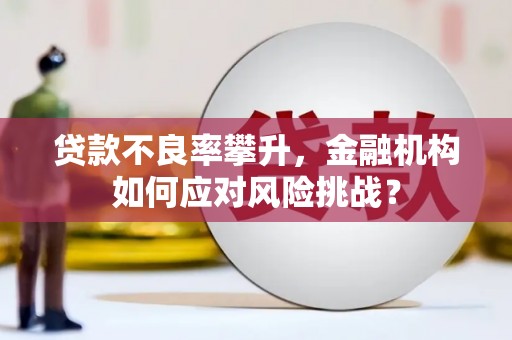 错那贷款不良率攀升，金融机构如何应对风险挑战？