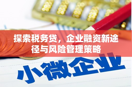 伊犁探索税务贷，企业融资新途径与风险管理策略