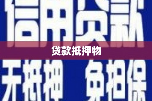 随州贷款抵押物