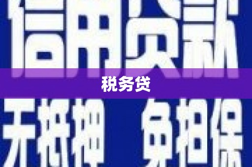 揭阳税务贷