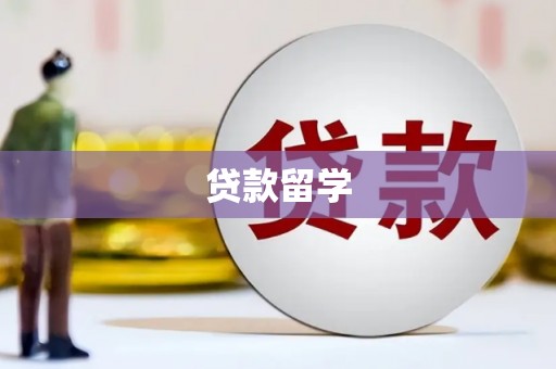 望奎贷款留学