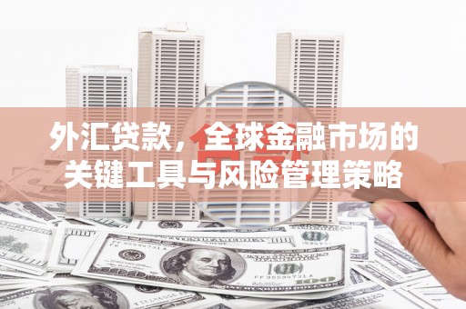 埔心外汇贷款，全球金融市场的关键工具与风险管理策略