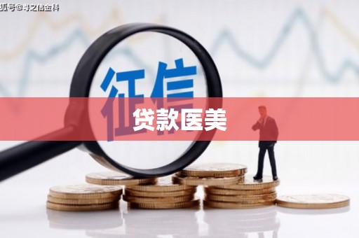 茂县贷款医美