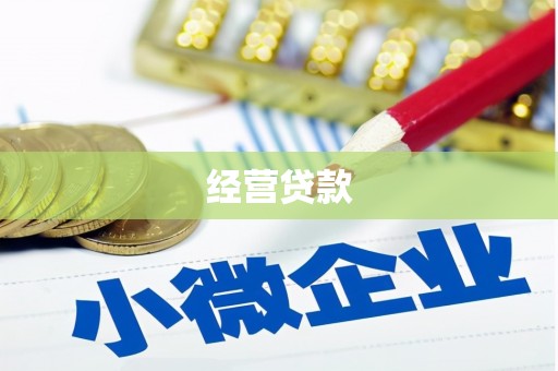 回民经营贷款