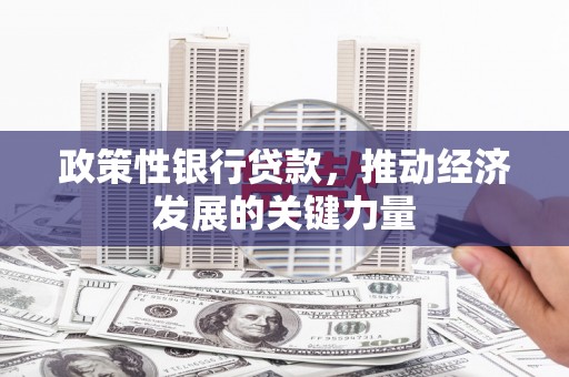 青浦政策性银行贷款，推动经济发展的关键力量