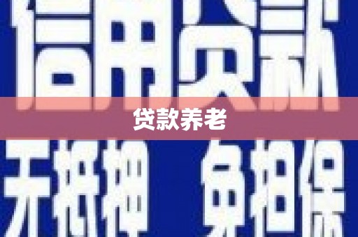 兴文贷款养老