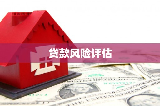 嘉模堂区贷款风险评估