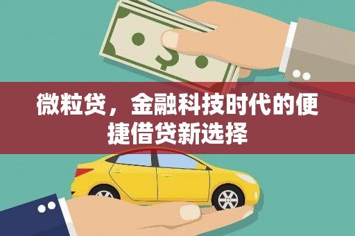 安多微粒贷，金融科技时代的便捷借贷新选择