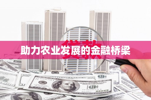 王益助力农业发展的金融桥梁