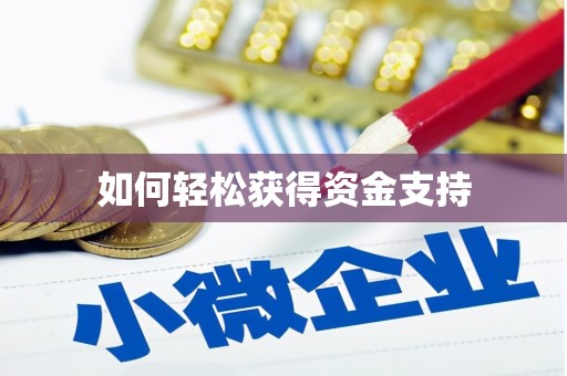 海盐如何轻松获得资金支持