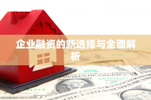 福海企业融资的新选择与全面解析