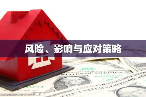 咸丰风险、影响与应对策略