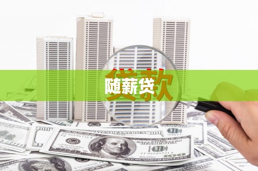 宝兴随薪贷