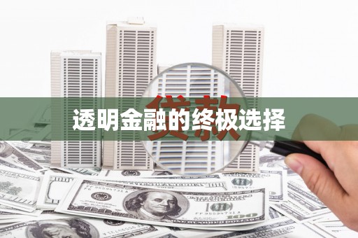 瑞穗透明金融的终极选择