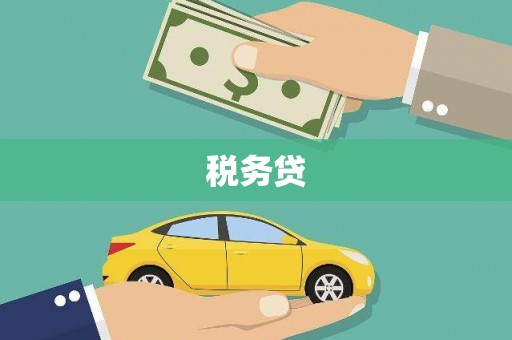 阳新税务贷