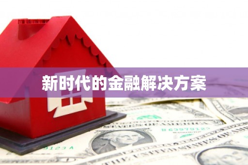 新洲新时代的金融解决方案
