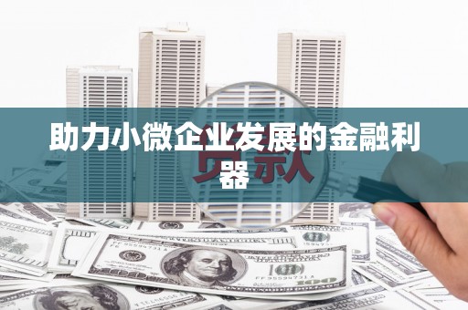 西和助力小微企业发展的金融利器