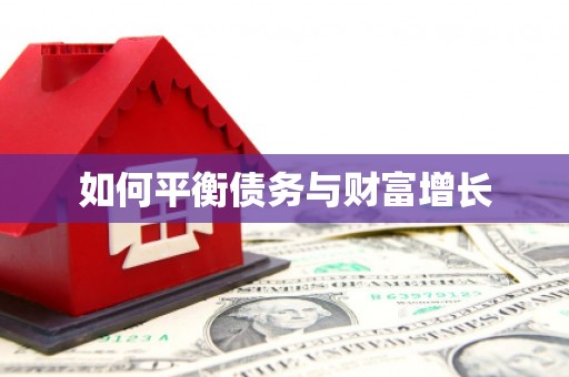 色达如何平衡债务与财富增长