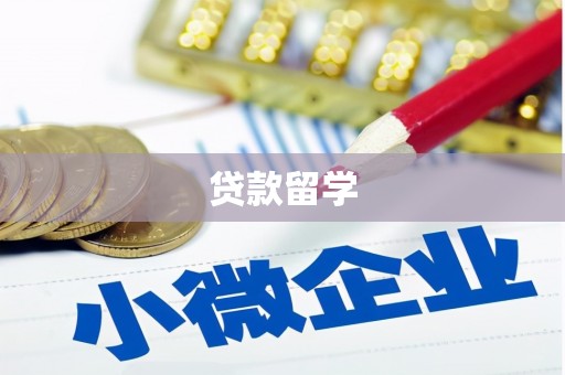 富民贷款留学